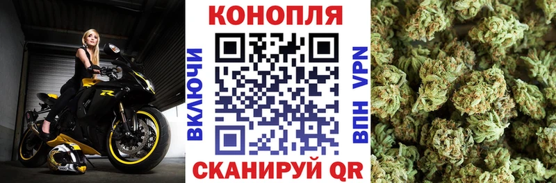 Конопля AK-47  Купить  Белая Калитва 